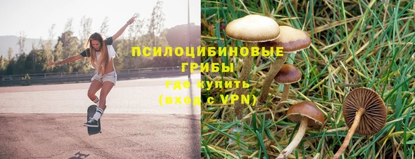 молекула духа Балабаново