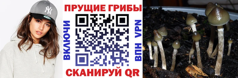 Галлюциногенные грибы мухоморы  Котельниково 